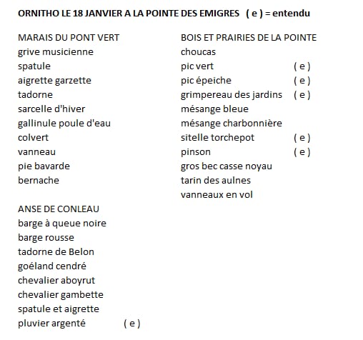Observation des Oiseaux 18 Janvier 2026